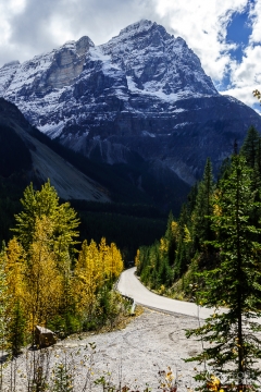 Rockies