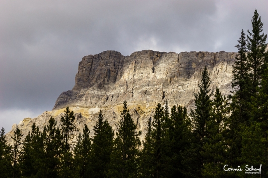 Castle Cliffs