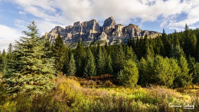 Castle Cliffs