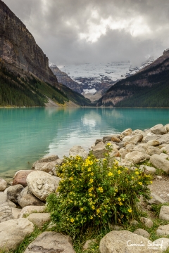 Lake Louise