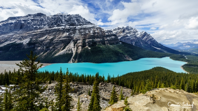 Peyto Lake