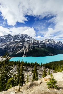 Peyto Lake