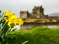 Springtime At Eilean Donan Springtime At Eilean Donan