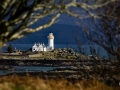Eilean Sionnach Framed Eilean Sionnach Framed