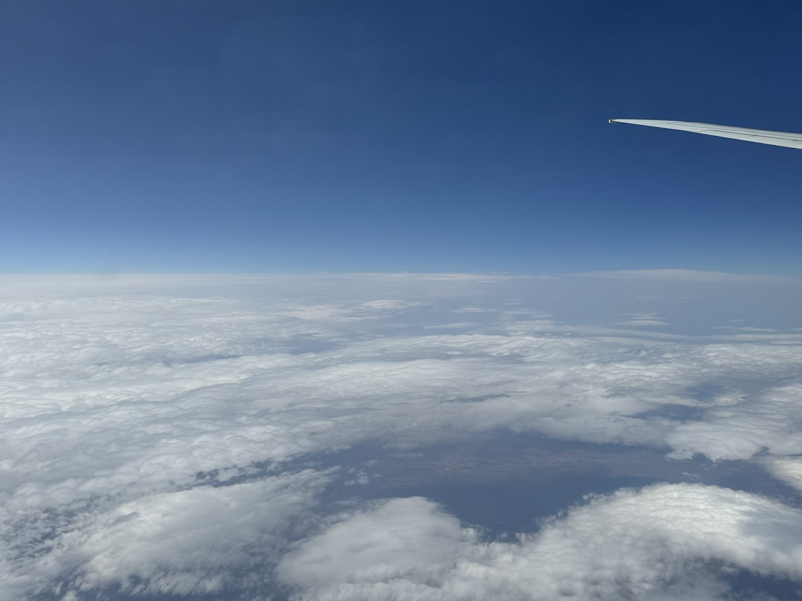 Fliegen ist schön…