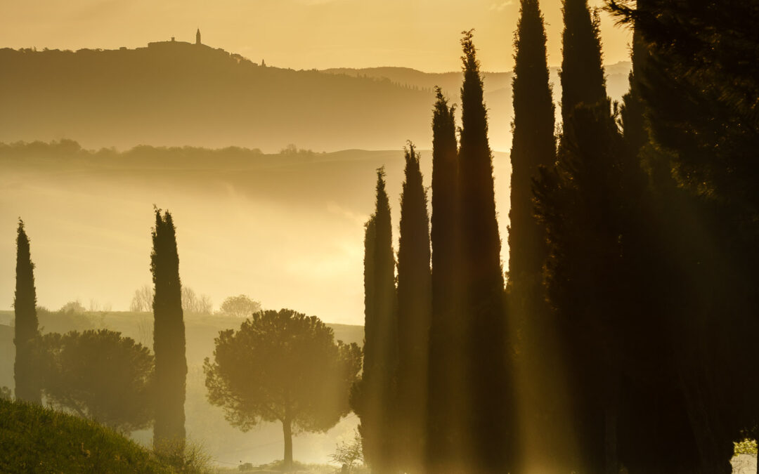 Sunbeams – Tuscany, Italy
