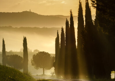 Sunbeams – Tuscany, Italy