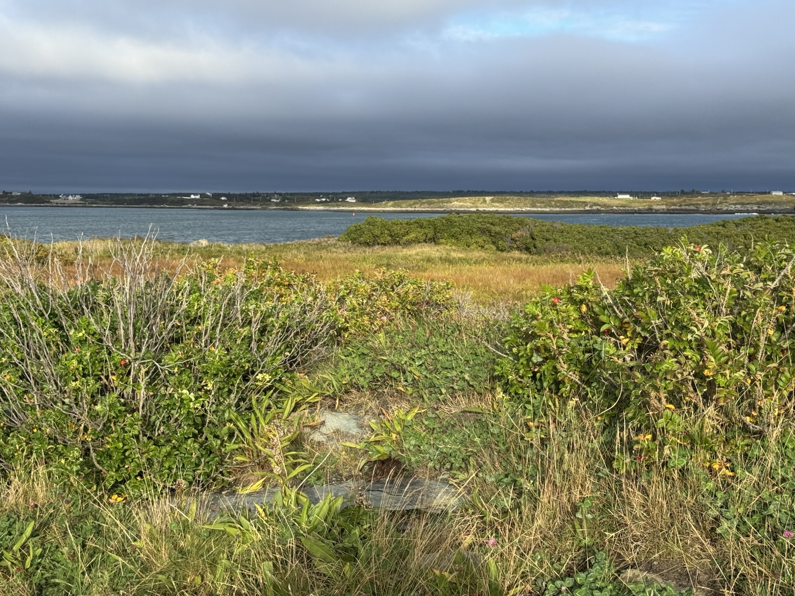 Wir folgen weiter der Lighthouse-Route